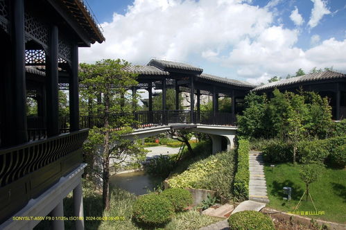 廣府園林 嶺南文化的藝術(shù)瑰寶