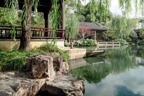 蘇州7個(gè)小眾園林｜0元打卡，人少景美免費(fèi)游玩攻略