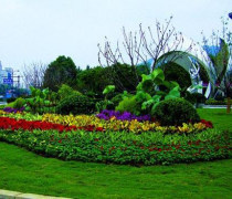 綠植租賃租擺公司優質商家置頂推薦產品