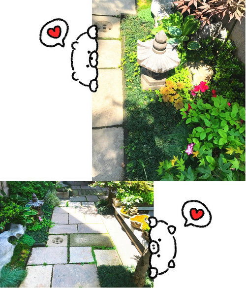 杭州一禾園林 匠心獨運的私家花園藝術